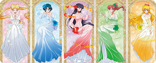 Sailor Moon Crystal × TSUTAYA BOOKS Clearfiles/Retractable Long Holder